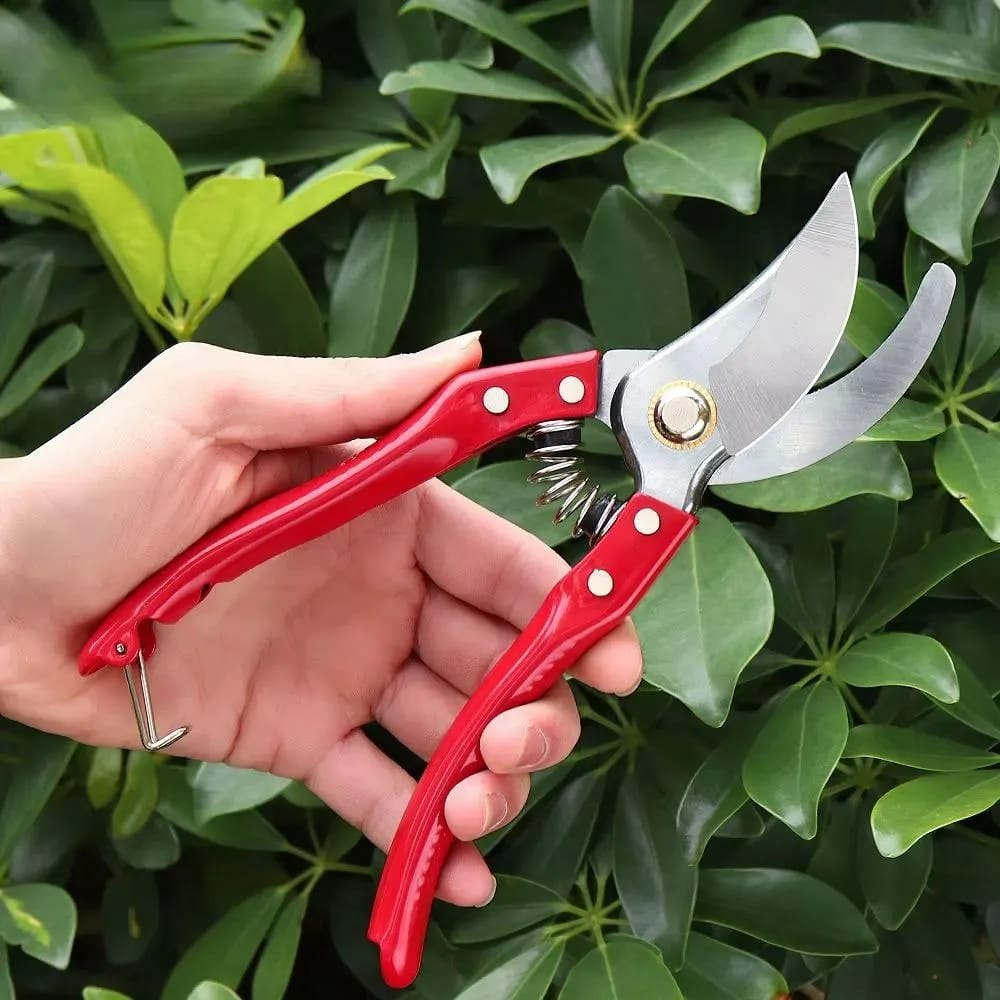 High Carbon Steel Pruning Shears Cutter – Stainless Steel Gardening Scissor for Plant & Branch Cutting - Image 2
